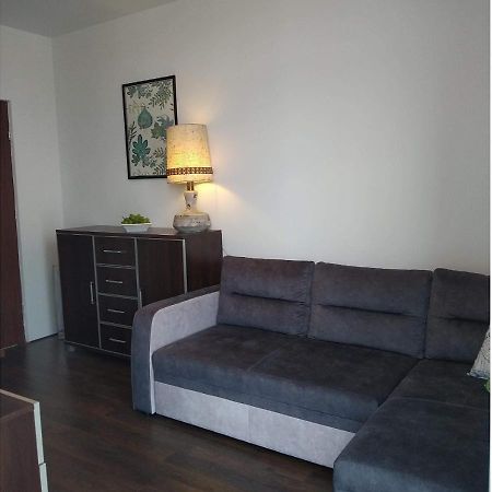 Sunny Penthouse With Roof Gardens Overlooking The Warsaw Palace Of Culture 普鲁什库夫 外观 照片