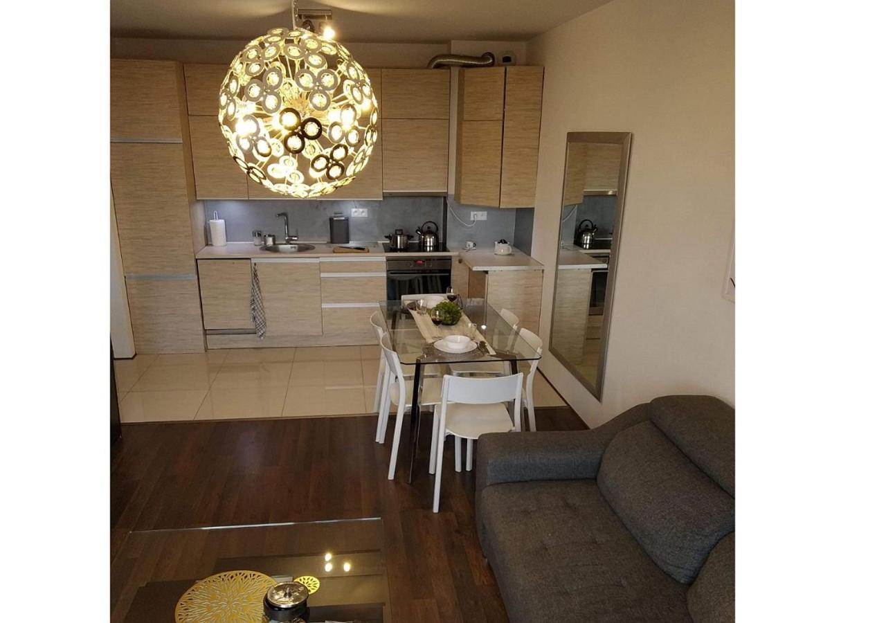 Sunny Penthouse With Roof Gardens Overlooking The Warsaw Palace Of Culture 普鲁什库夫 外观 照片