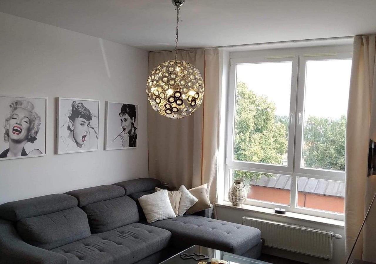 Sunny Penthouse With Roof Gardens Overlooking The Warsaw Palace Of Culture 普鲁什库夫 外观 照片
