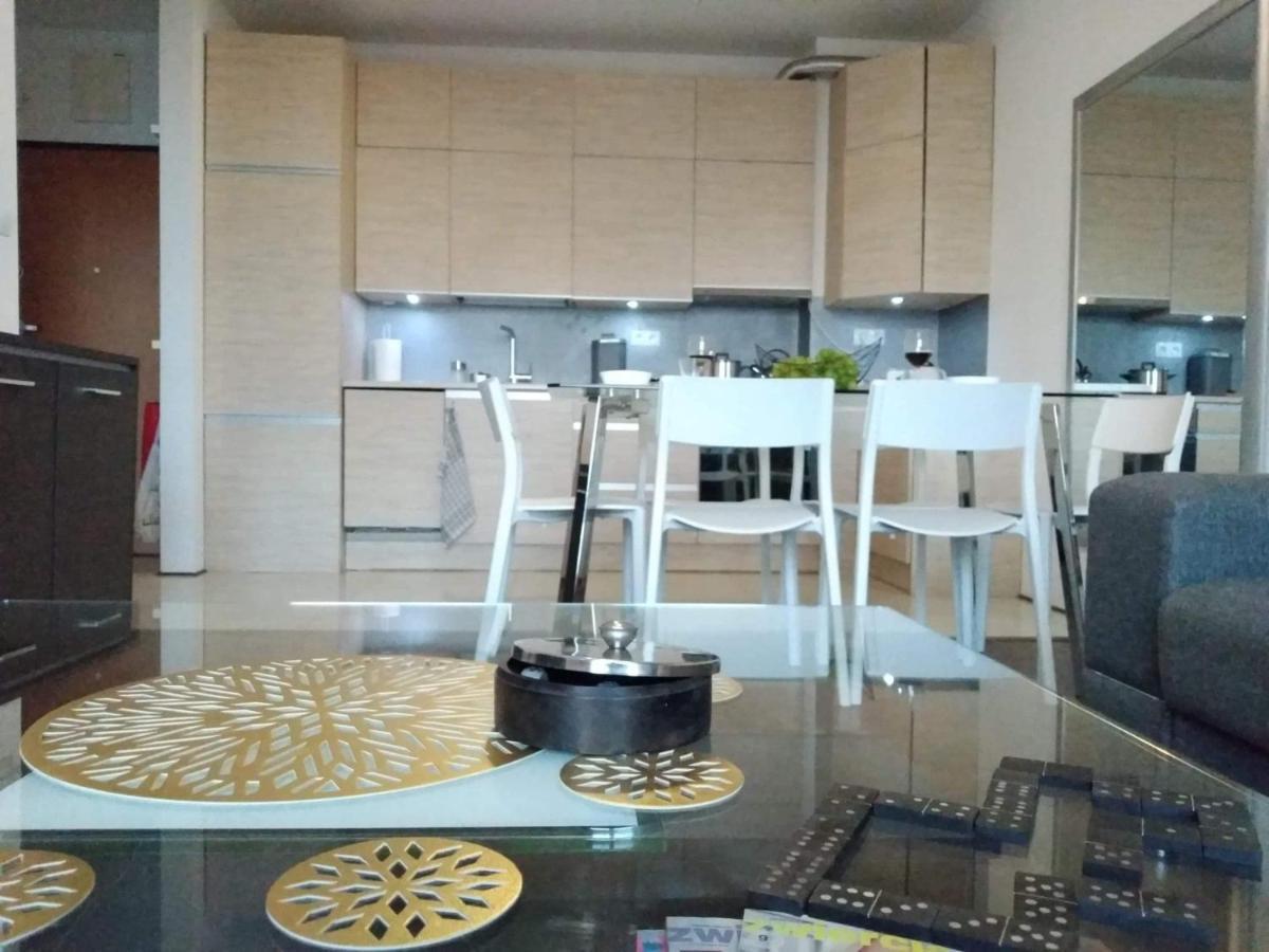 Sunny Penthouse With Roof Gardens Overlooking The Warsaw Palace Of Culture 普鲁什库夫 外观 照片